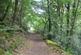 Additional image 48 of Mostyn Cottage, Ganllwyd, Dolgellau LL40 2HS