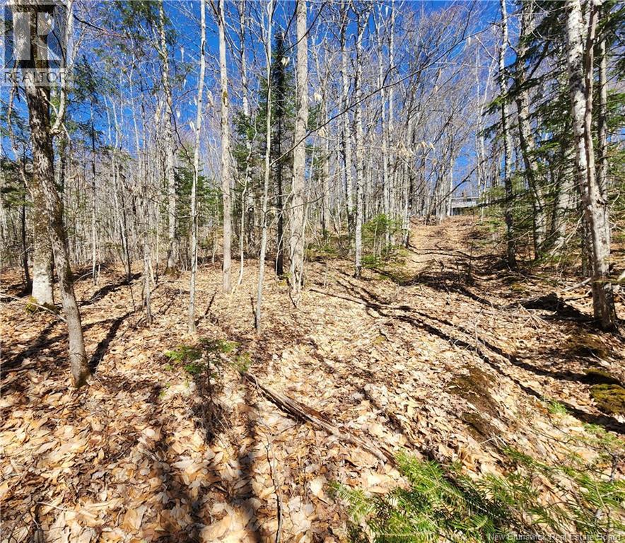 Additional image 5 of 47950 Chemin Homestead Road, Moncton, NB, E1G2P7