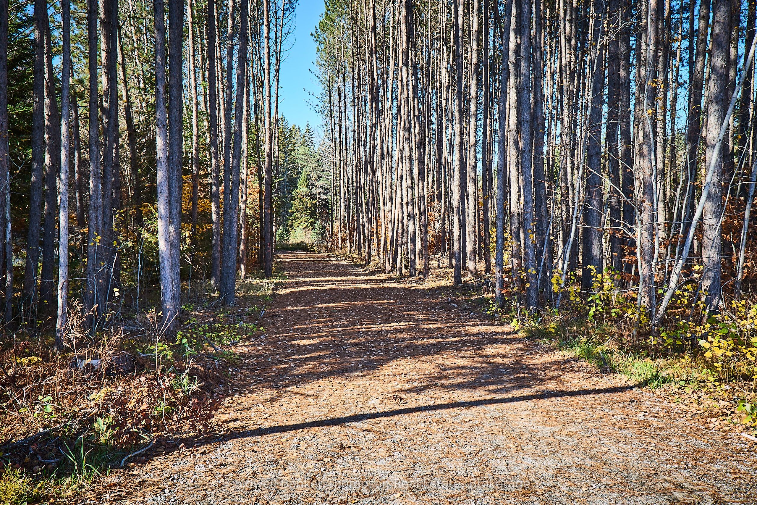 Additional image 3 of 1304 Old North Road, Huntsville, ON, P1H 2J4