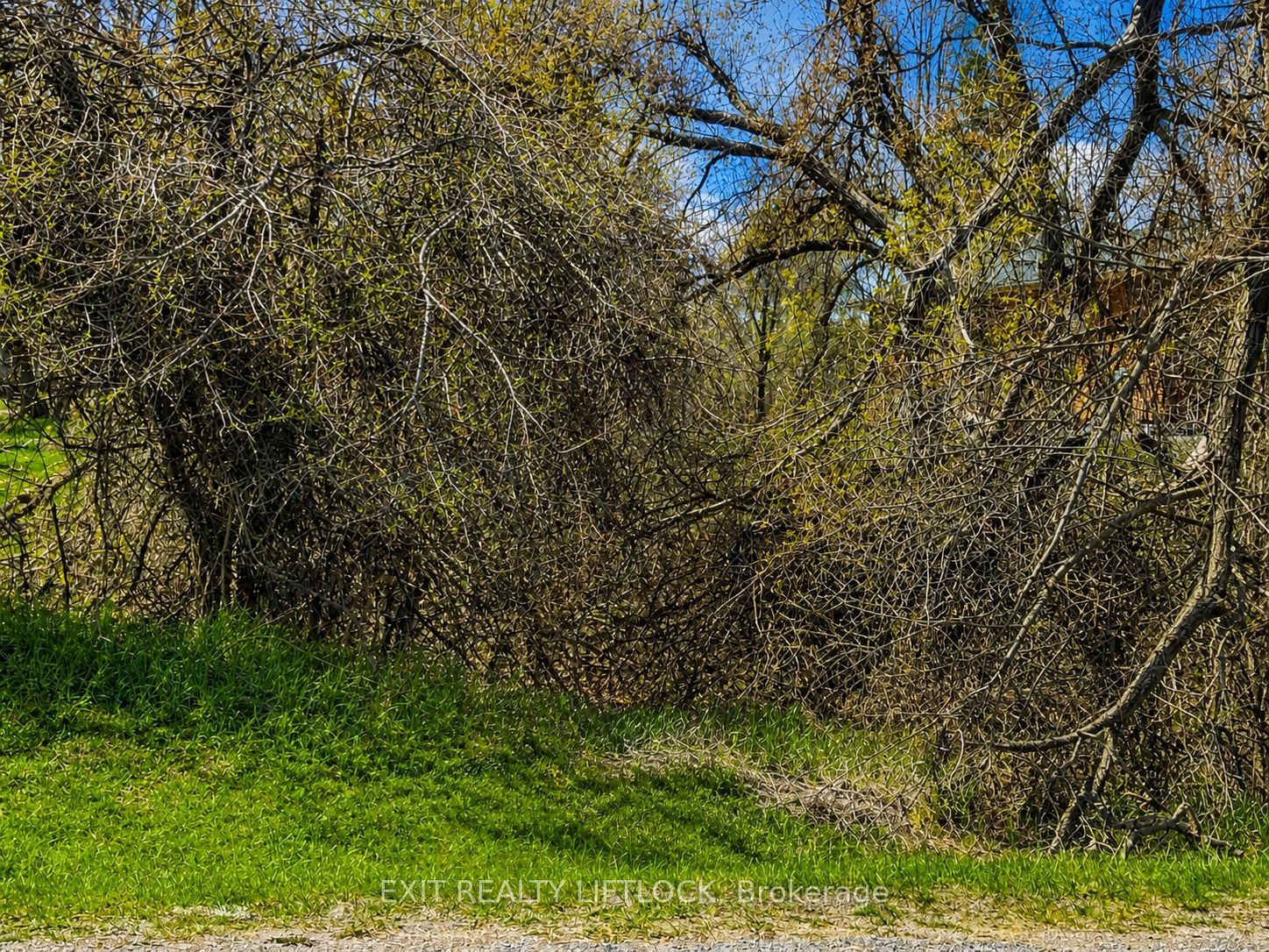 Additional image 2 of 0 Maple Ridge Drive, Kawartha Lakes, ON, K0L 2W0