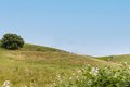 Additional image 60 of 3318 David Dr, Napa, CA, 94558