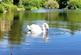 Additional image 20 of Glan Gwna Holiday Park, Caeathro, Caernarfon, LL55