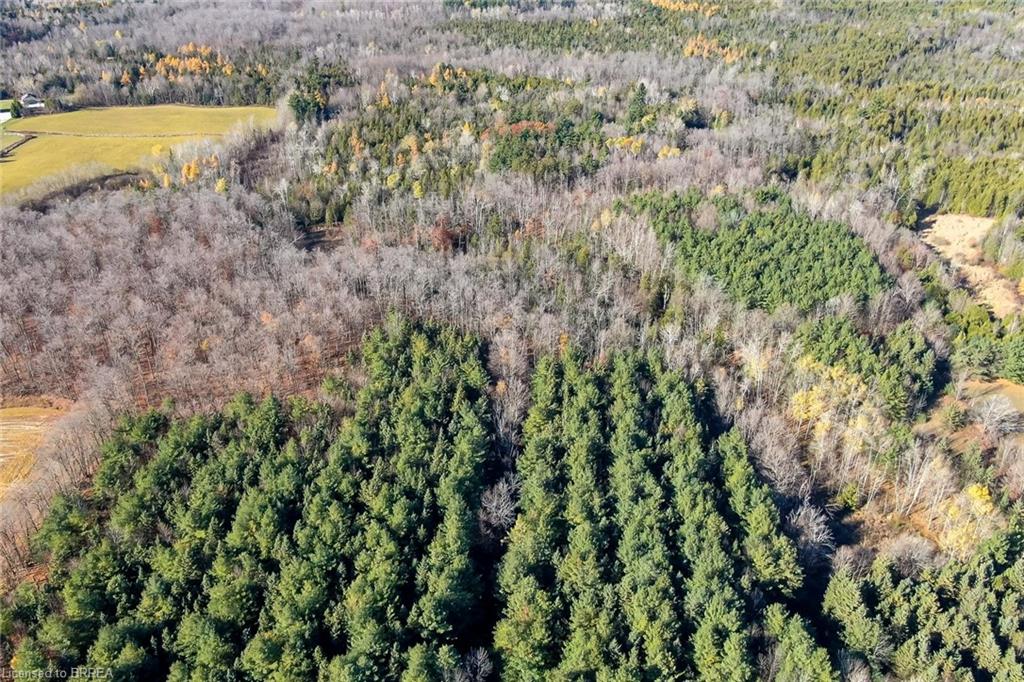 Additional image 4 of 9328 Wellington Road 50 Road, Erin, ON, N0B 1T0