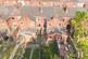 Additional image 17 of Gordon Road, Harborne, Birmingham, B17