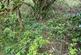 Additional image 6 of Winewall, Colne, Burnley, BB8