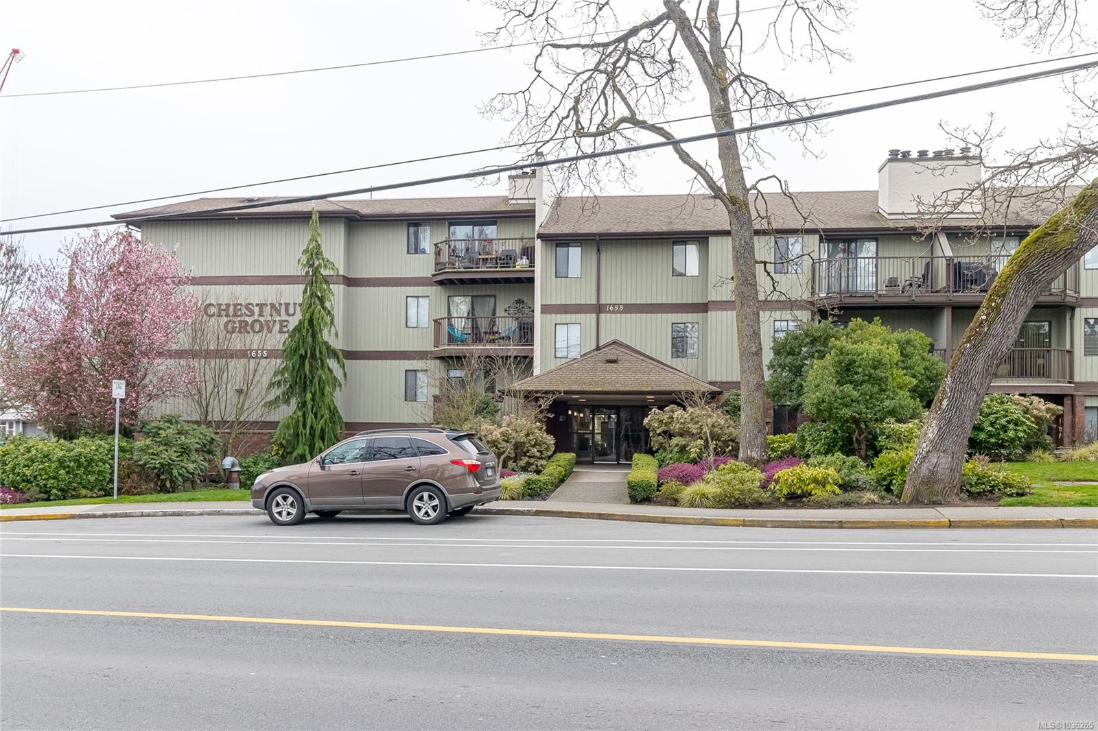 Additional image 2 of 314-1655 Begbie Street, Victoria, BC, V8R 1L4