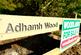 Additional image 6 of Adhamh Wood (just under 4 and a quarter acres), Benderloch, Oban, Argyle & Bute PA37