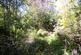 Additional image 22 of Mount Ambrose, Redruth TR15