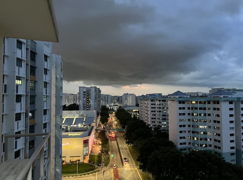 698A Jurong West Central 3 photo 2