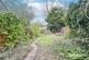 Additional image 23 of Woodbourne Road, Bearwood, West Midlands, B67