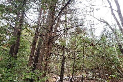 Additional image 8 of 0 Ashworth Road, Uxbridge, ON, L0E 1T0