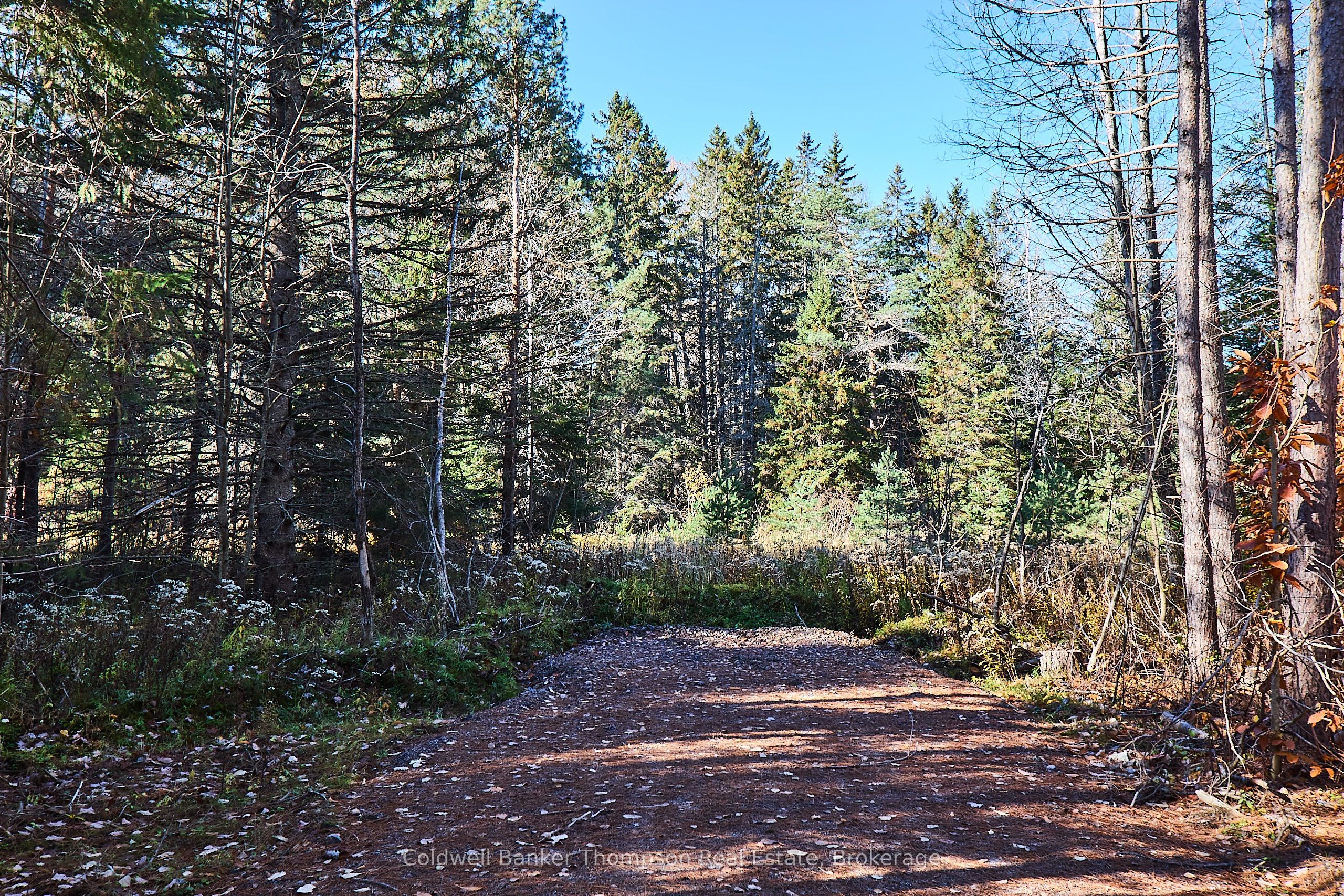 Additional image 6 of 1304 Old North Road, Huntsville, ON, P1H 2J4