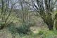 Additional image 5 of Winewall, Colne, Burnley, BB8