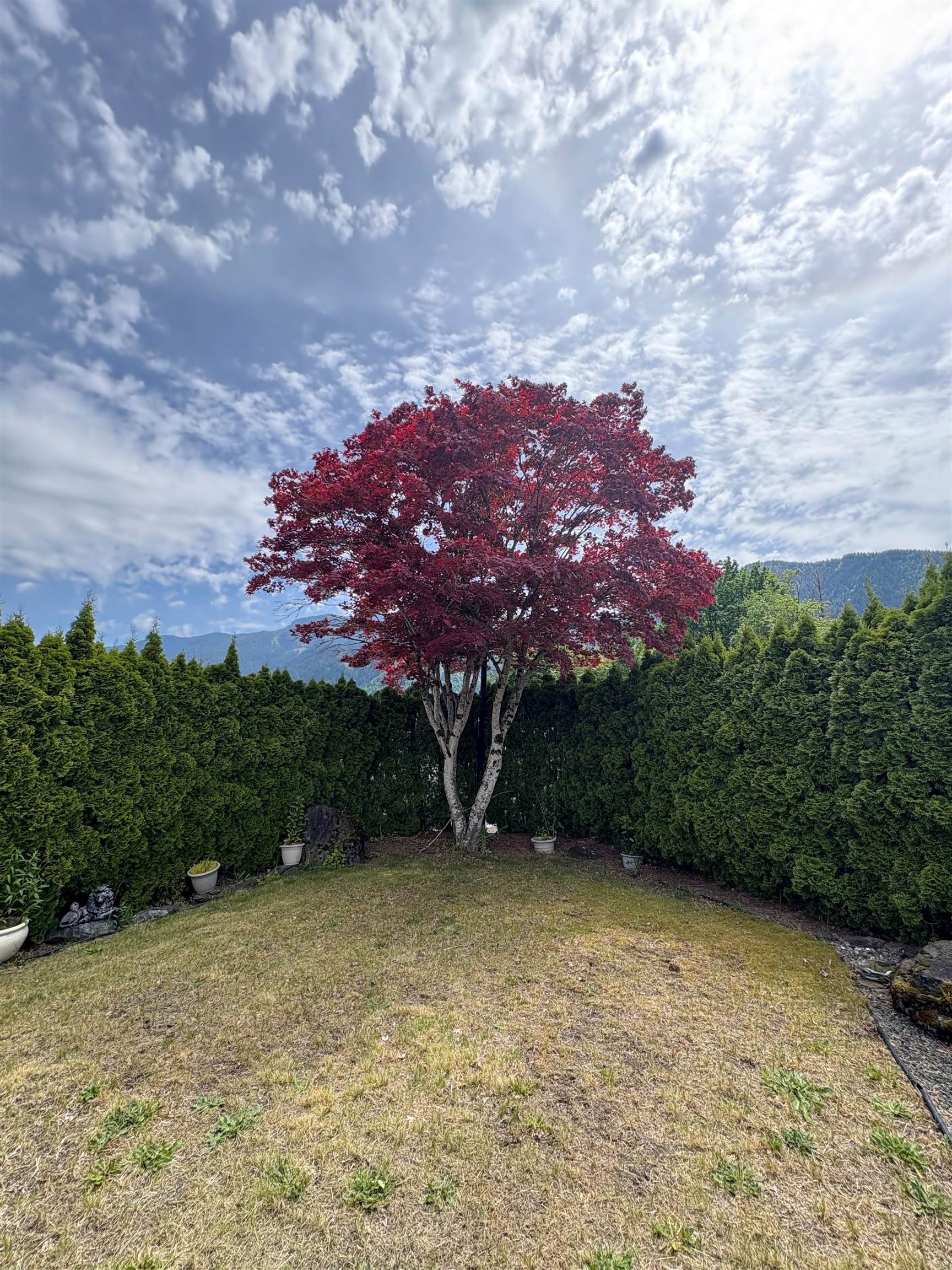 Additional image 3 of 58-1436 Frost Road, Cultus Lake, BC, V2R 4X8