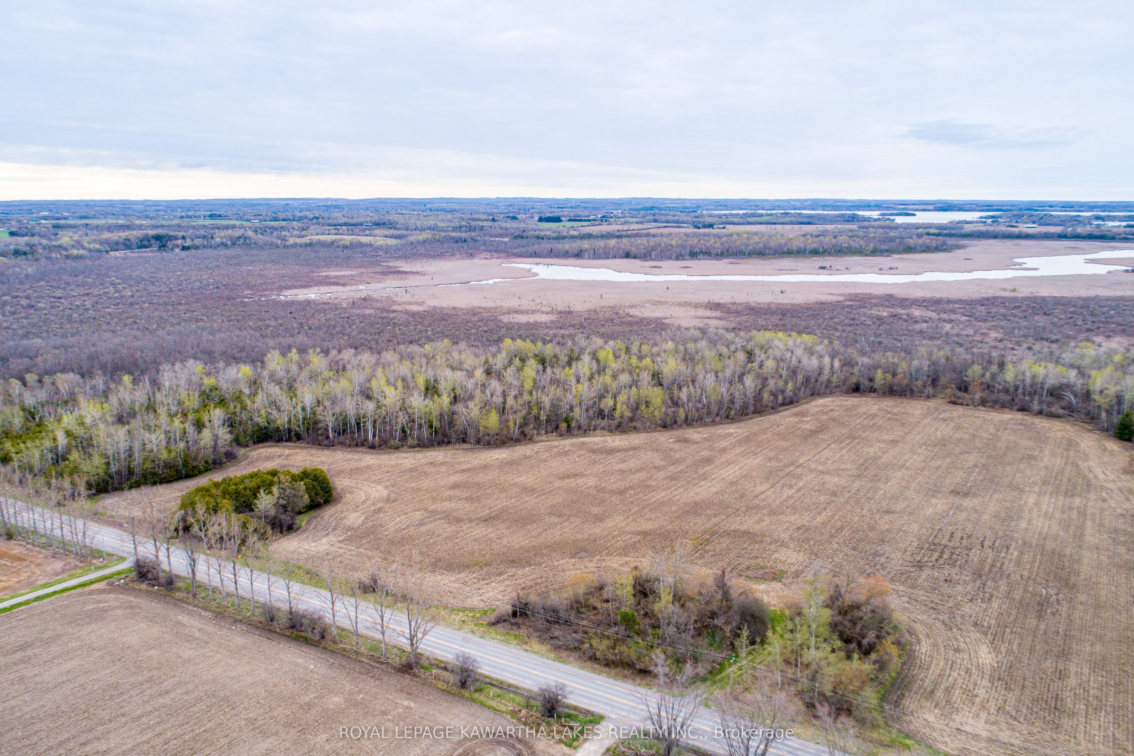 Additional image 6 of 890 Ramsey Road, Kawartha Lakes, ON, K0M 2C0