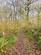 Additional image 2 of Brilley Wood (about 5 and a half acres), Whitney-on-Wye, Hay-on-Wye, Herefordshire HR3