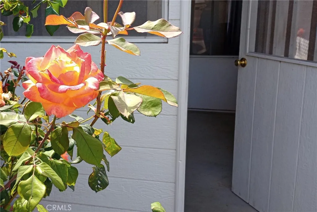 Additional image 103 of 37 Hastings Avenue, Ventura, CA 93003
