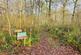 Additional image 3 of Brilley Wood (about 5 and a half acres), Whitney-on-Wye, Hay-on-Wye, Herefordshire HR3