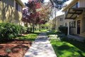 Additional image 4 of 1230 Henderson Ave, Sunnyvale, CA, 94086