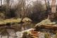 Additional image 19 of The Old Mill, Linztford, Rowlands Gill, County Durham