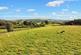 Additional image 37 of Herdwick House, Field Broughton