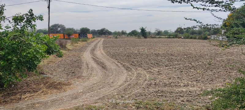 Dumad, Vadodara photo 2
