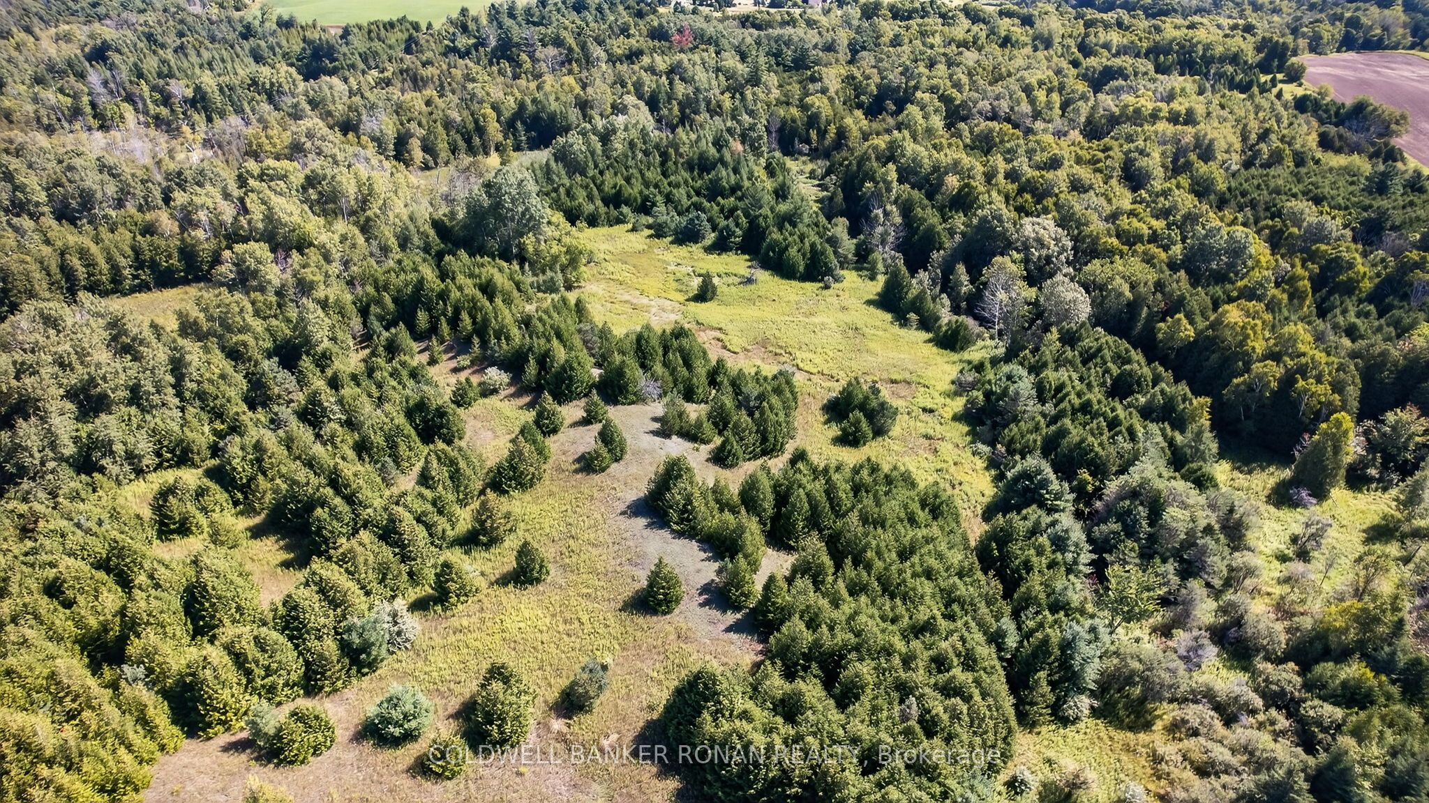Additional image 2 of 8155 19th Side Road, King, ON, L0G 1T0