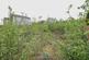 Additional image 6 of Middlepenny Road, Renfrewshire PA14