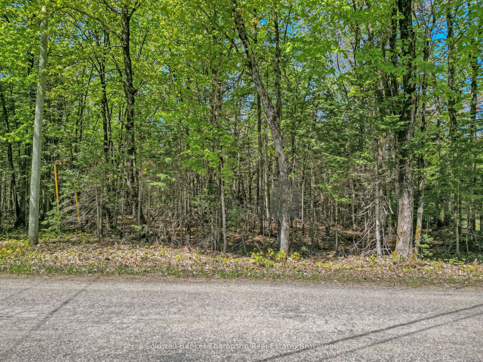 Additional image 6 of 989 North Waseosa Lake Road, Huntsville, ON, P1H 2J4