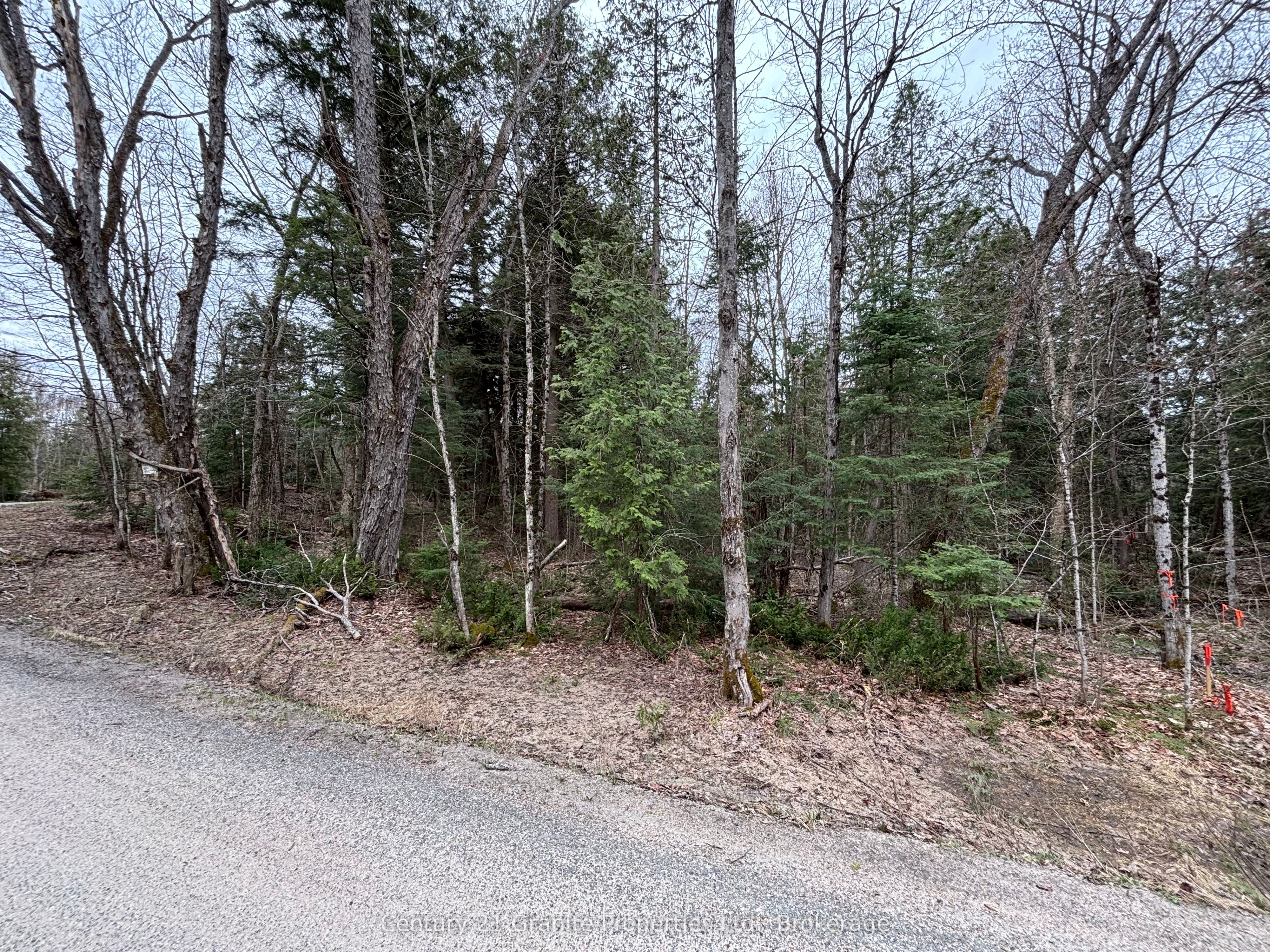 Additional image 3 of Lot 1 Loch Erne Road, Mcdougall, ON, P2A 2W7