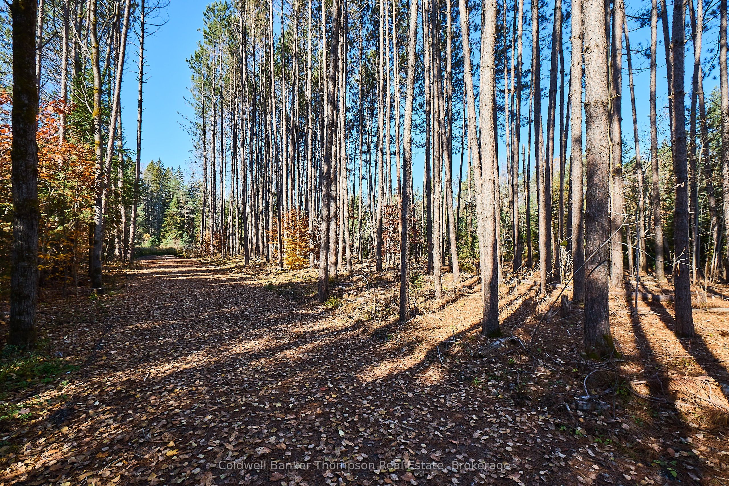Additional image 5 of 1304 Old North Road, Huntsville, ON, P1H 2J4