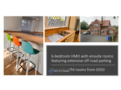 Ipswich Road, Norwich NR4, Room to rent