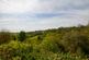 Additional image 12 of St Nicholas Park, Lostwithiel, PL22