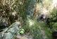Additional image 25 of Mount Ambrose, Redruth TR15