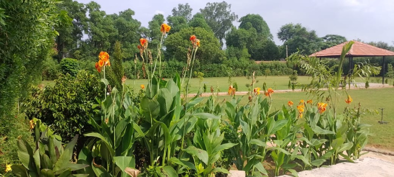 Naugaon, Alwar