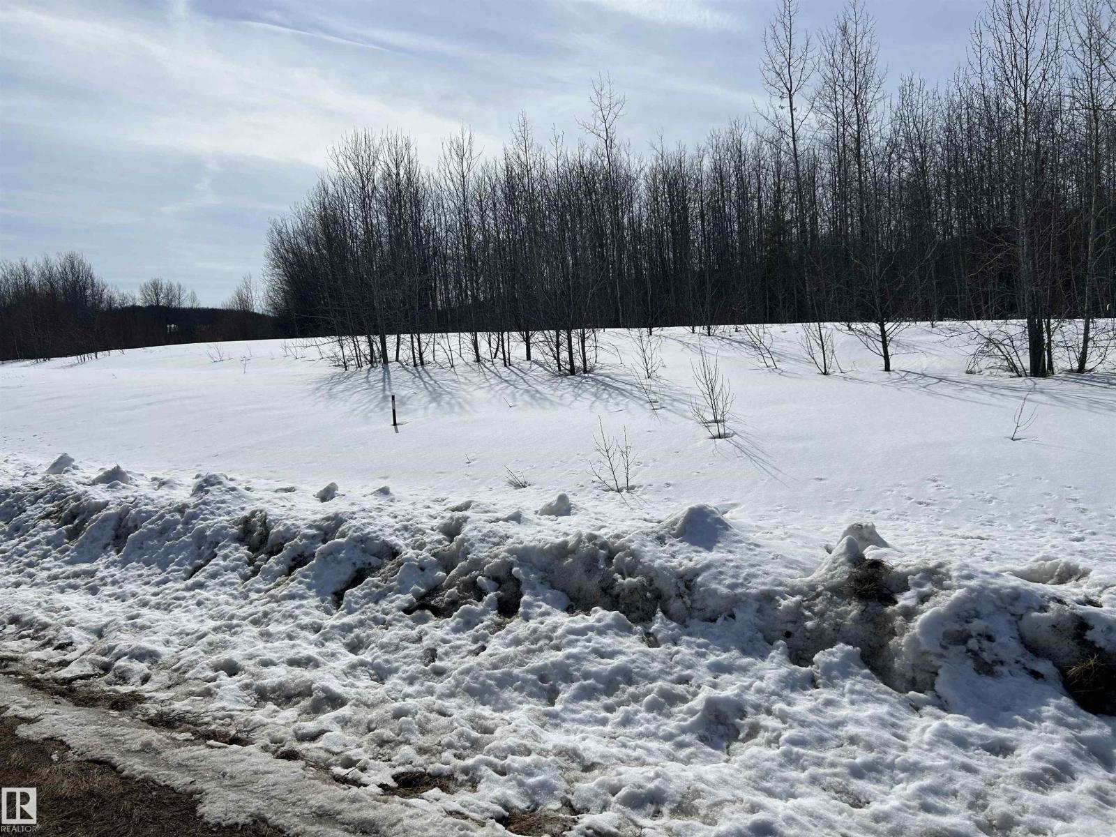 Additional image 4 of NE-23 62 1 W4 411a Road, Rural Bonnyville M.d., AB, T0A0T0