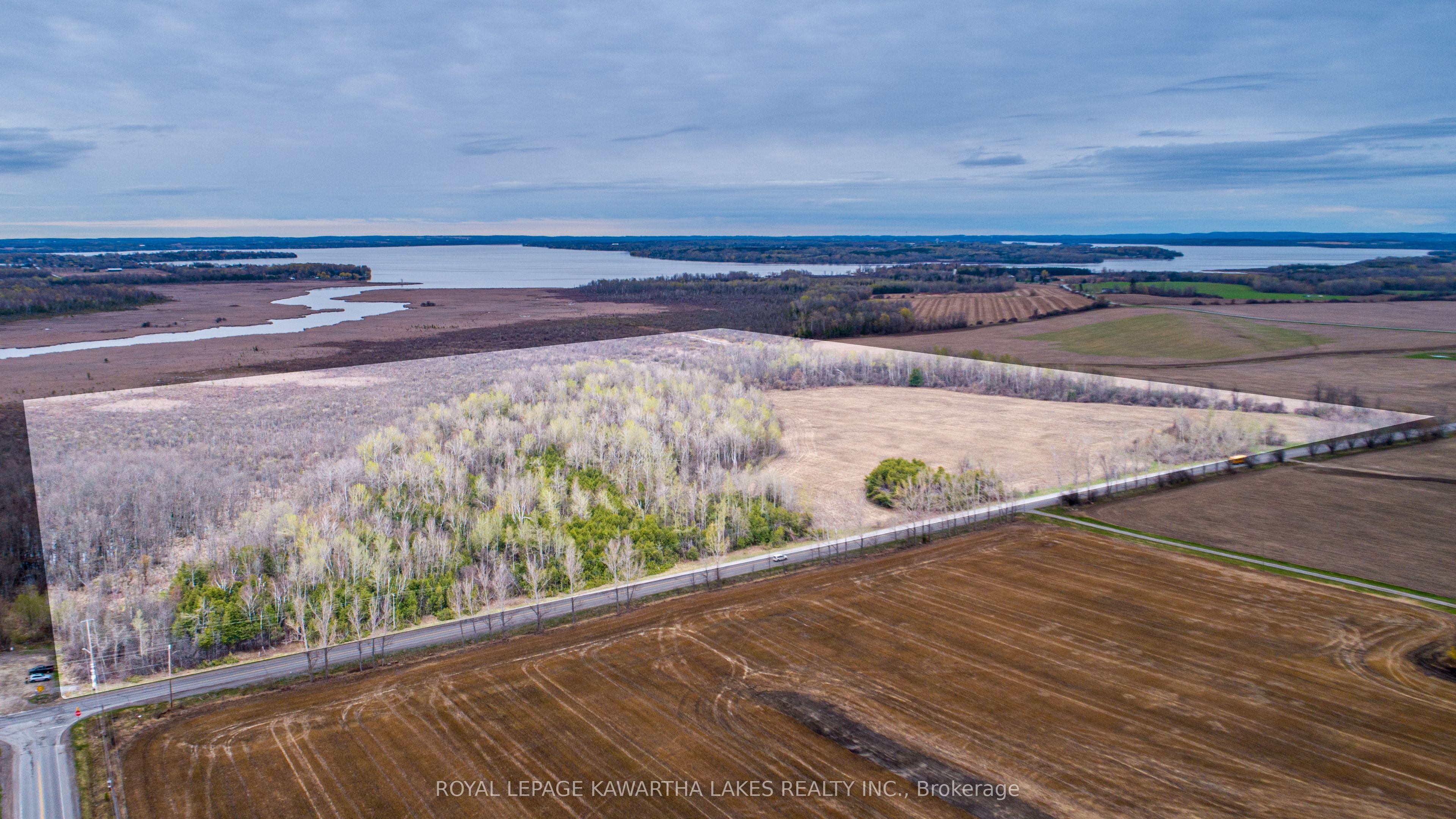 890 Ramsey Road, Kawartha Lakes, ON, K0M 2C0