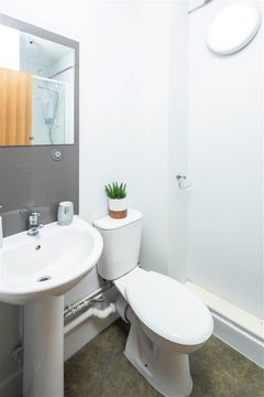 Daulby Street, Liverpool L3, Studio to rent