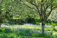 Additional image 46 of Pound Lane, Uplyme, Lyme Regis, Devon, DT7