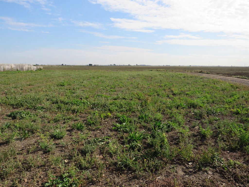 Additional image 3 of Land for saleWhittlesey Road, March PE15