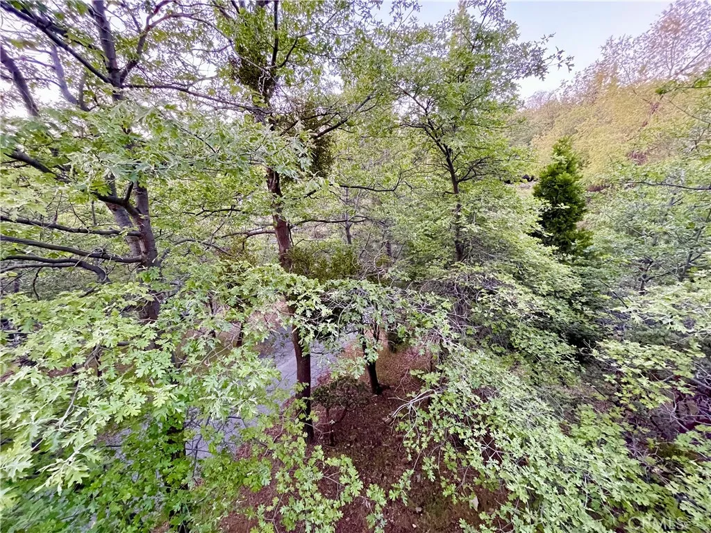 Additional image 40 of 28201 Grenoble Lane, Lake Arrowhead, CA 92352