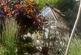 Additional image 45 of Markwick Terrace, St. Leonards, TN38
