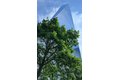 Withheld St Unit 405, Brooklyn, NY, 11201