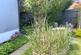 Additional image 8 of Whitehaven Home Park, Chapel Lane, Langley