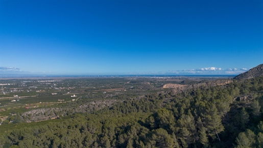 Additional image 5 of Alzira (Valencia)