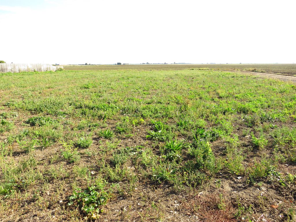 Additional image 5 of Land for saleWhittlesey Road, March PE15