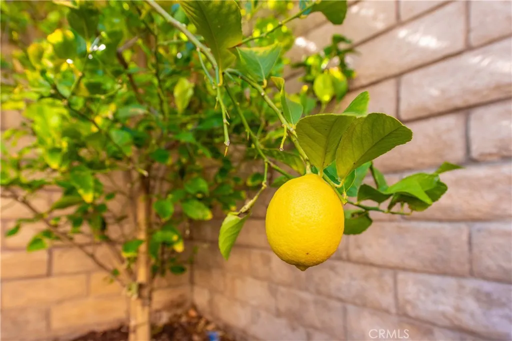 Additional image 82 of 2515 Callahan Avenue, Simi Valley, CA 93065