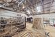 Additional image 30 of Appiehouse, Harray, Orkney, KW17 2JR