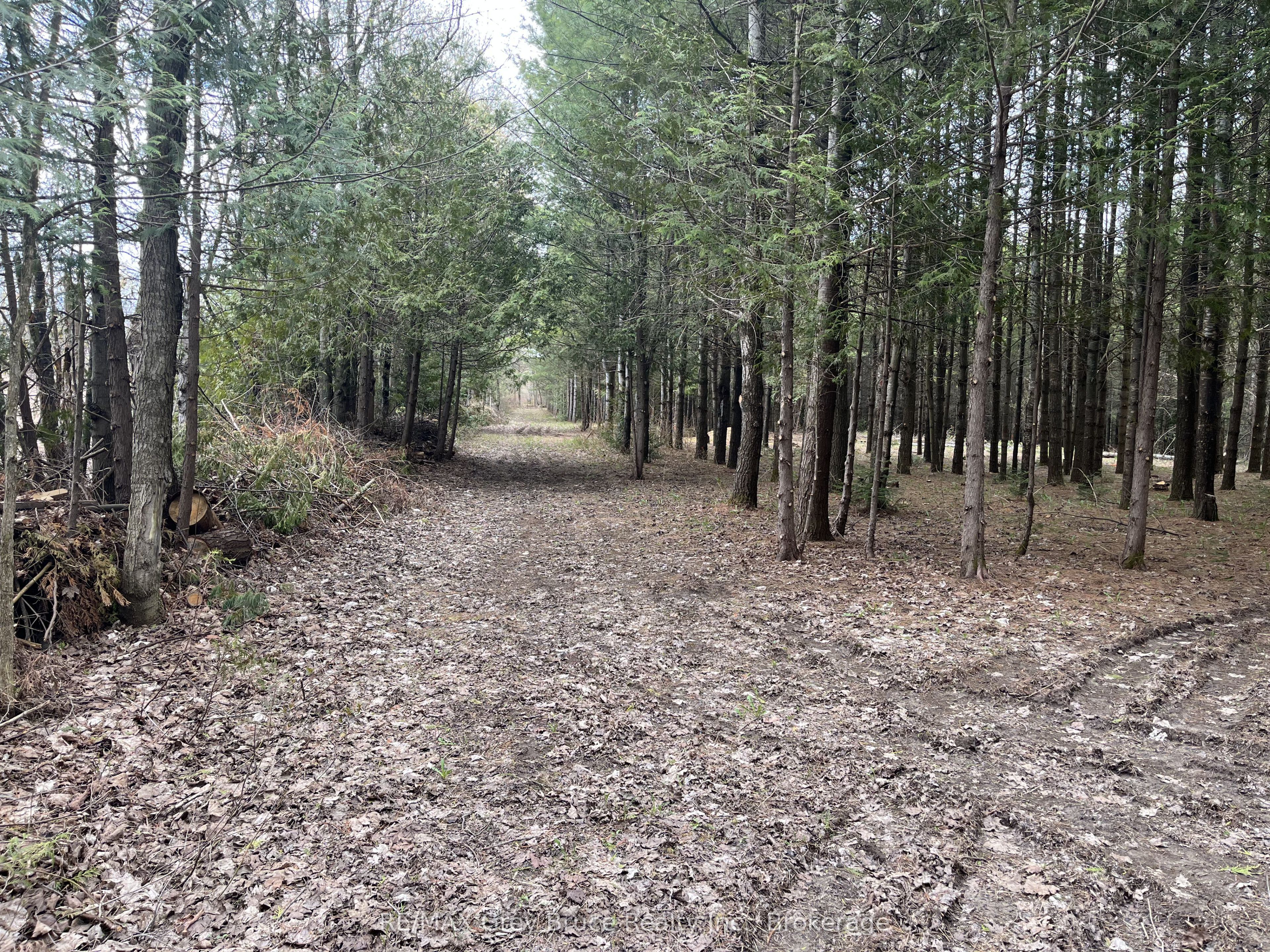 Additional image 4 of 523782 Concession 12 Road, West Grey, ON, N0C 1H0
