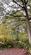 Additional image 15 of Brilley Wood (about 5 and a half acres), Whitney-on-Wye, Hay-on-Wye, Herefordshire HR3